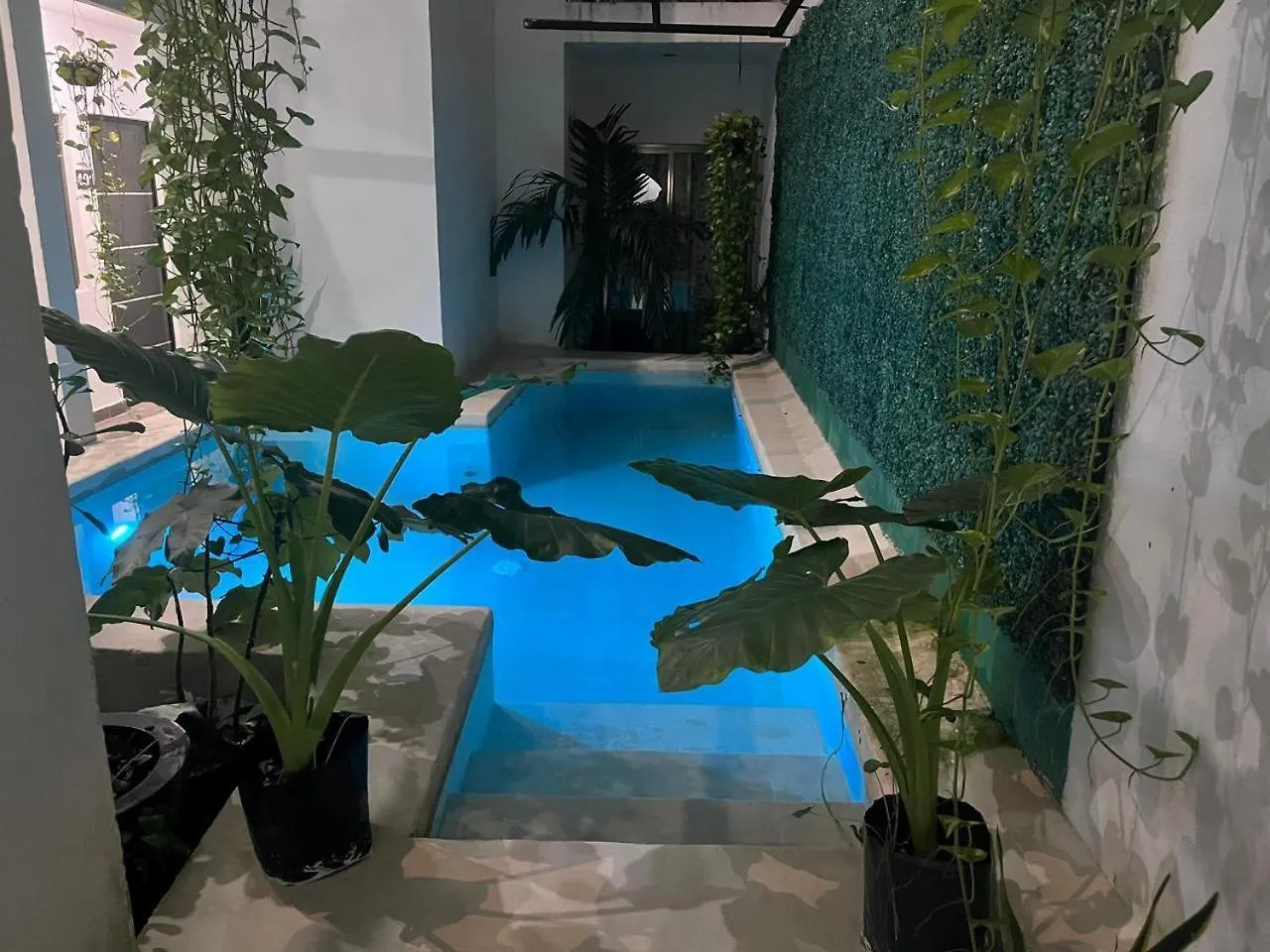 Playadelcarmen Apartment Playa del Carmen 0*,  Mexico